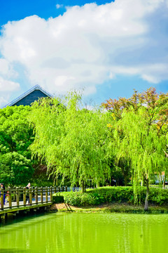 泰晤士小鎮(zhèn) 松江 歐洲小鎮(zhèn)