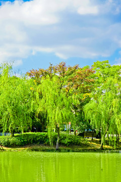 泰晤士小鎮(zhèn) 松江 歐洲小鎮(zhèn)