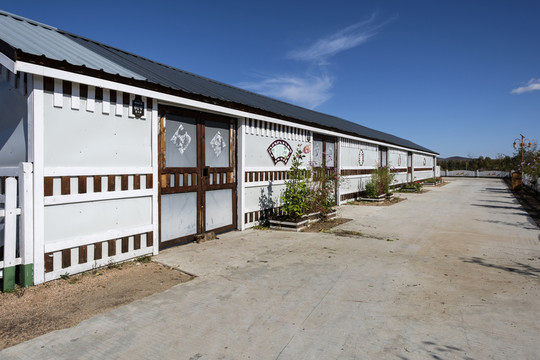 新農(nóng)村
