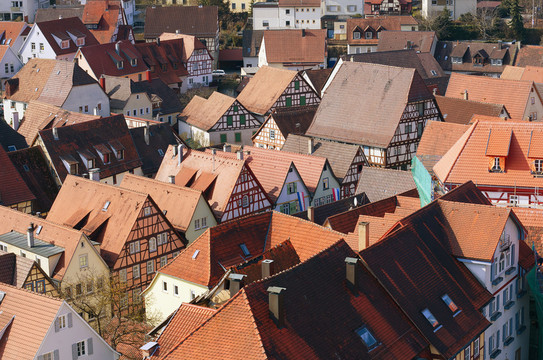 roofscape壞wimpfen