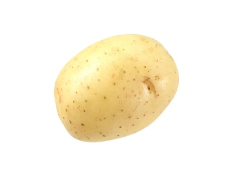 食物