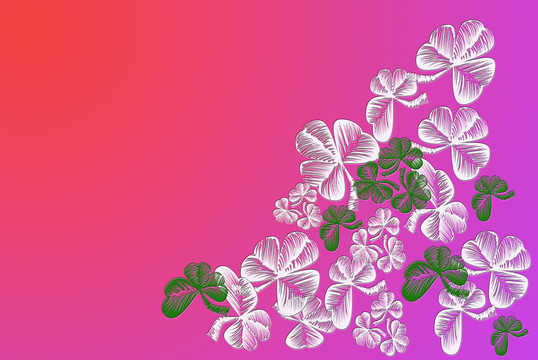 三葉草