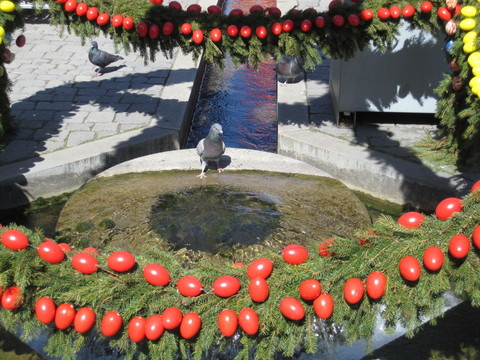 與鴿子的osterbrunnen