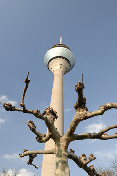 在杜塞爾多夫的rheinturm