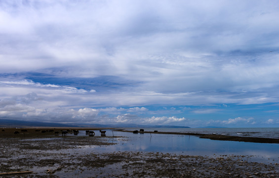 青海湖