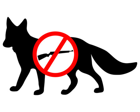 禁止fuchs槍