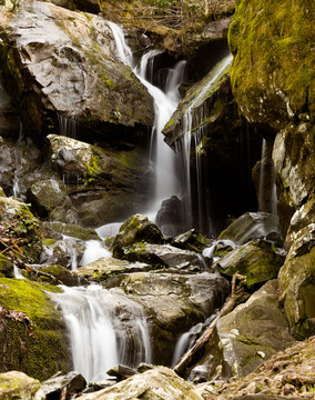 山