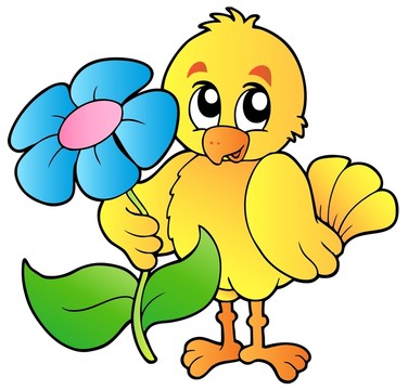 鳥(niǎo)