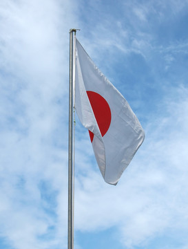 旗