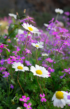 花
