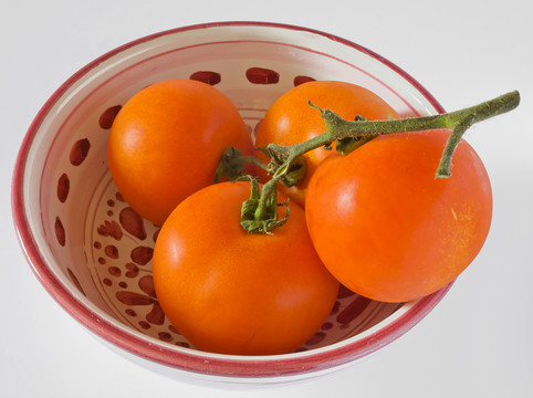 針術(shù)