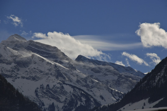 山