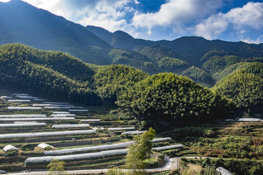 田園風光
