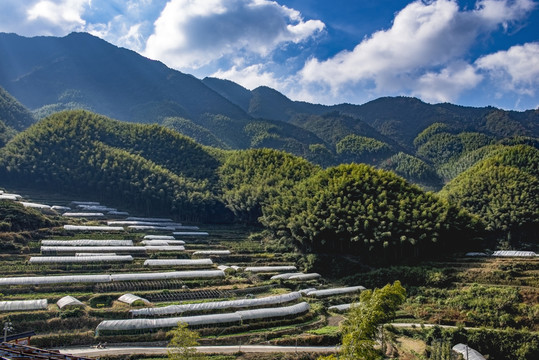 田野風(fēng)光
