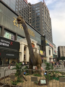 巨型長頸恐龍模型