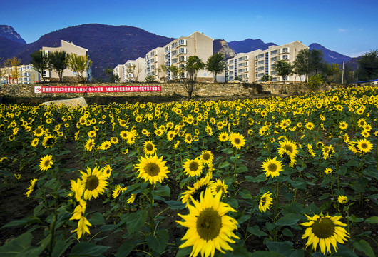 美麗山村