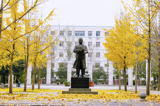 銀杏