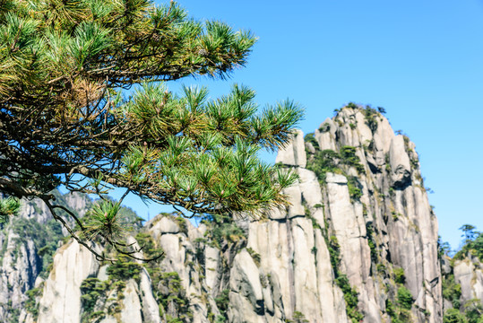 三清山風(fēng)光