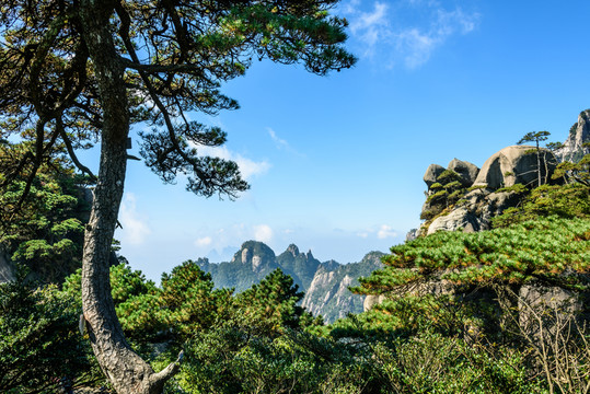 三清山風(fēng)光