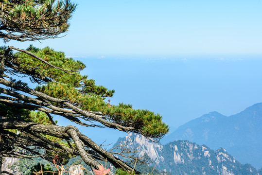 三清山風(fēng)光