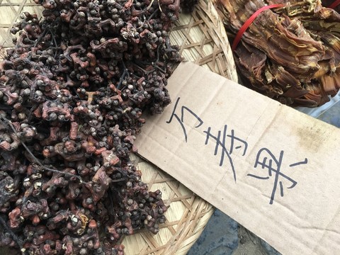 萬(wàn)壽果