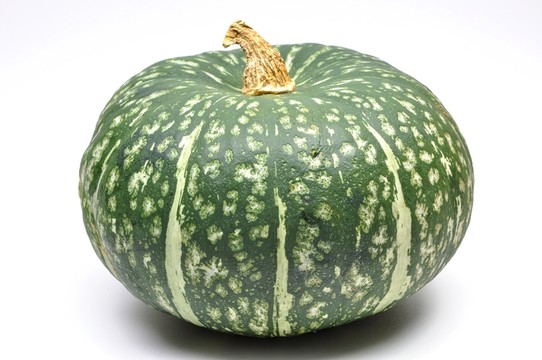 食物