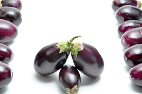 農(nóng)業(yè)