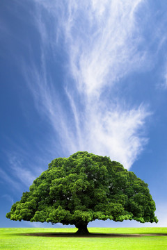 藍(lán)色