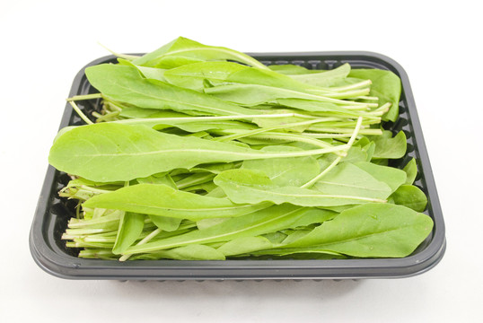 食物