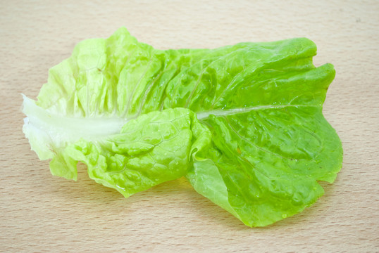 食物