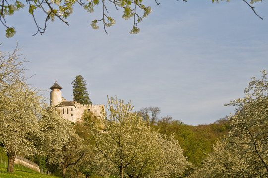 Schloss birseck