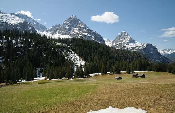 山