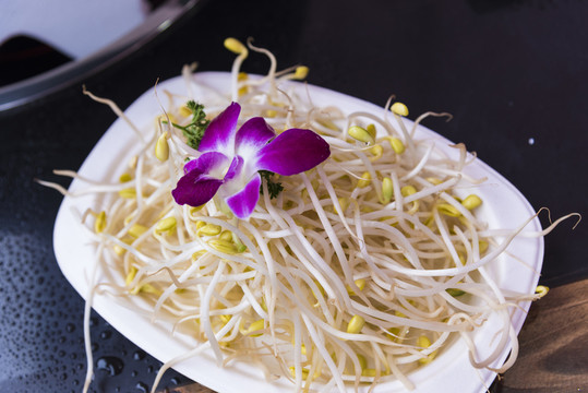 豆芽