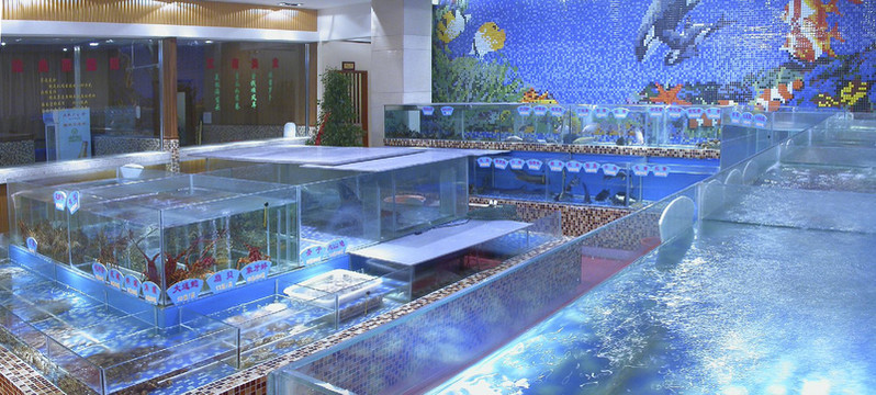 酒樓海鮮池建成后展示效果