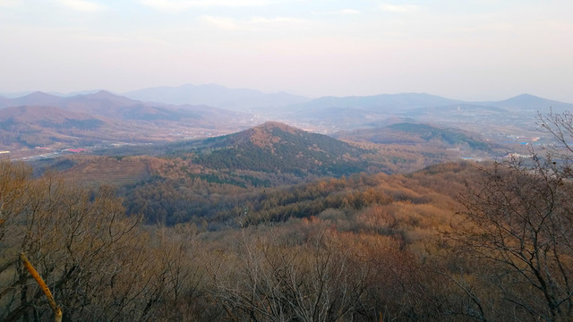 遠山 東北
