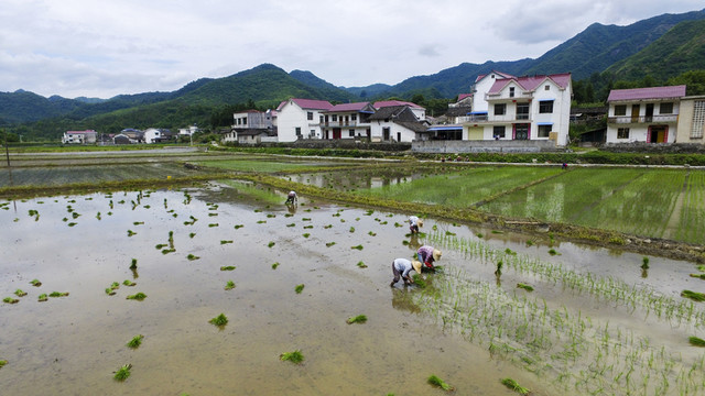 田園風光