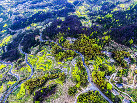 航拍徽州梯田風(fēng)光