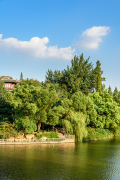 白鷺洲公園景觀
