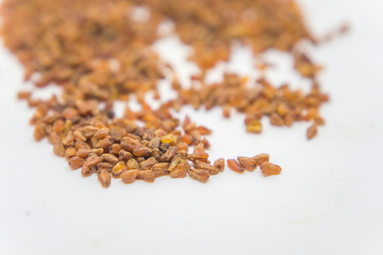 苦蕎 蕎麥 苦蕎茶 谷物