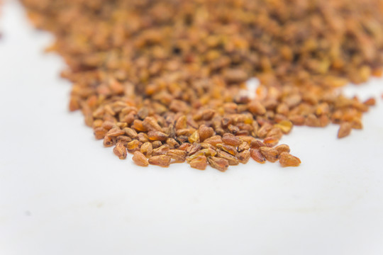 苦蕎 蕎麥 苦蕎茶 谷物