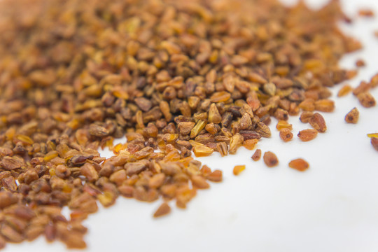 苦蕎 蕎麥 苦蕎茶 谷物