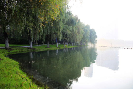 合肥天鵝湖早晨