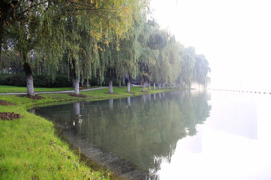 合肥天鵝湖