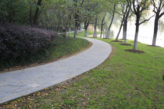 合肥天鵝湖公園