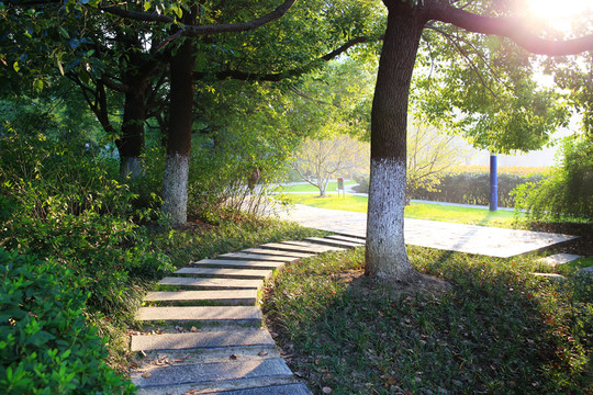 合肥天鵝湖公園