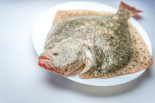 多寶魚高清