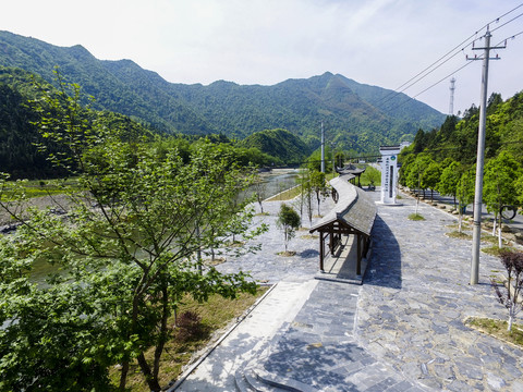濕地公園
