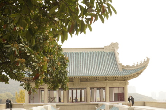 武漢大學(xué) 建筑 櫻花大道