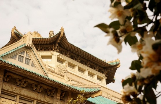 武漢大學(xué) 建筑 老圖