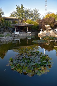 公園
